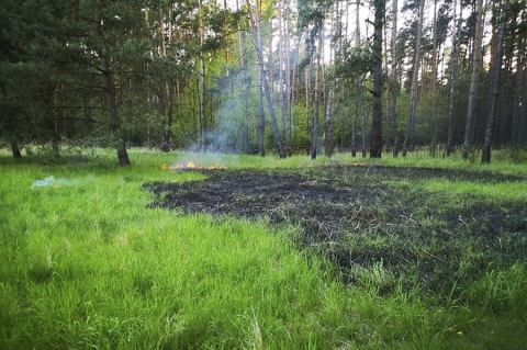 ZDUNY | Pożar trawy