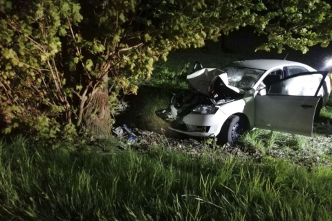 KOBIERNO - DĄBROWA | Samochód uderzył w drzewo