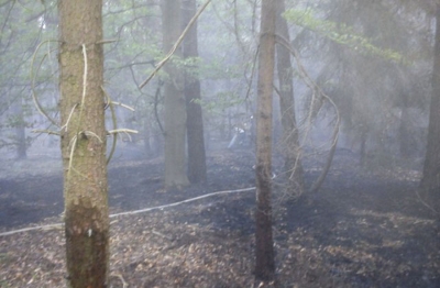 KROTOSZYN | Pożar lasu przy ul. Bolewskiego